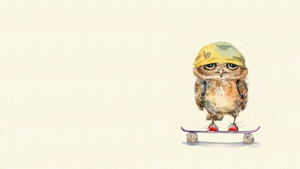 Owl On Skateboard Wallpaper