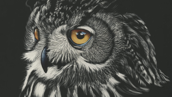 Owl Painting 4k Wallpaper