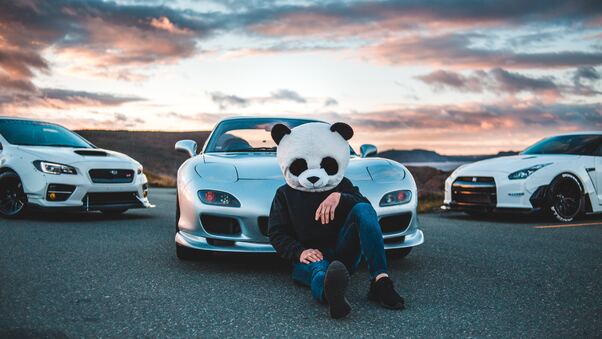 Panda Boy With Cars 5k Wallpaper