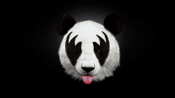 Panda Dark 4k Wallpaper