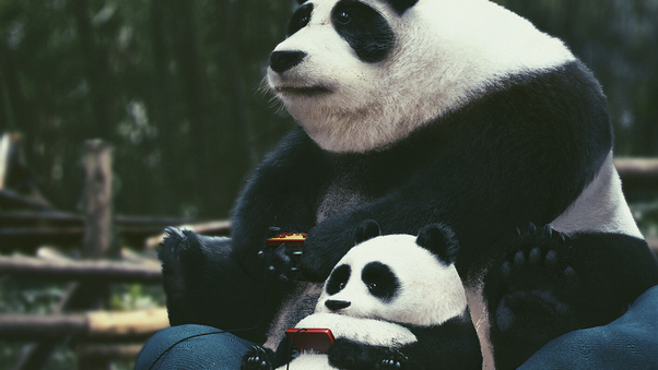 Panda With Son Enjoying Video Games Wallpaper