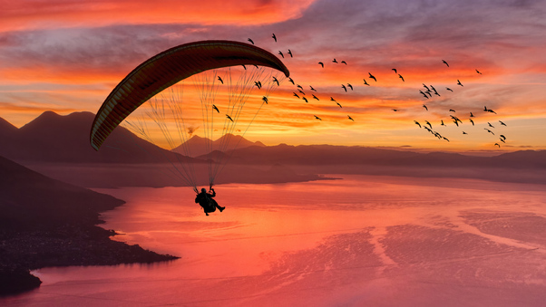 Paraglider In Nature Wallpaper