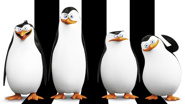 Penguins Of Madagascar Movie HD Desktop Wallpaper