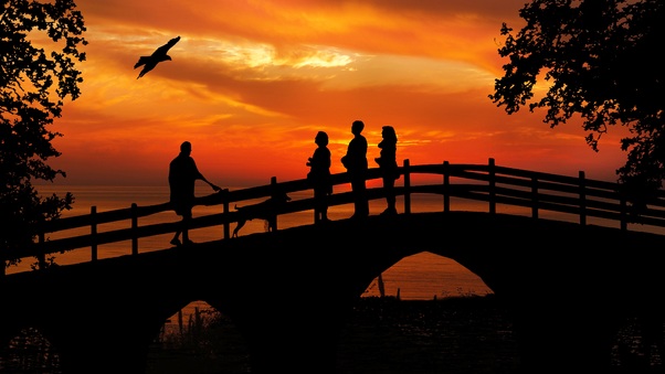 People Standing On Bridge Dog Bird Silhouette Wallpaper