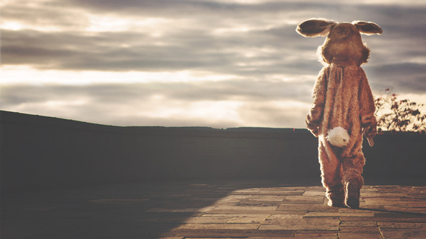 Person In Bunny Costume Walking Forward Wallpaper
