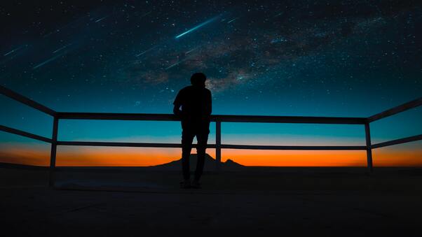Person Silhouette Meteors Night Sky 8k Wallpaper