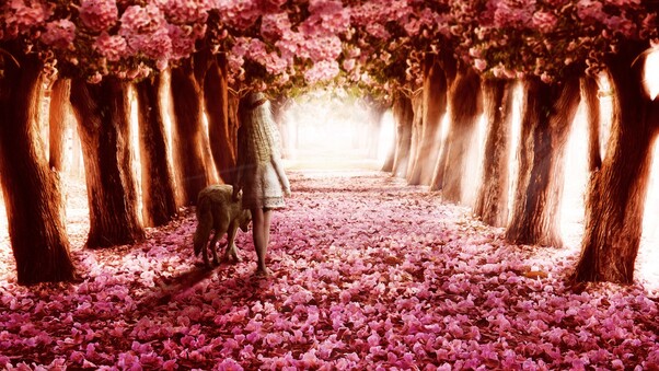 Pink Flowers Path Wallpaper