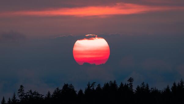 Pink Hour Vancouver Island Sunset 5k Wallpaper