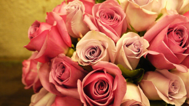 Pink Roses Bouquet Wallpaper
