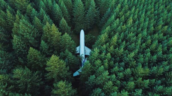 plane-in-middle-of-forest-4k-0p.jpg