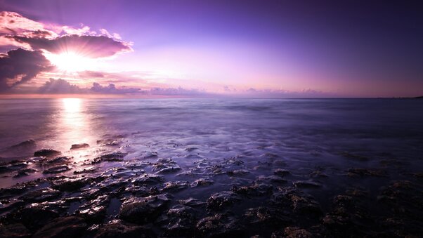 Purple Seascape Wallpaper