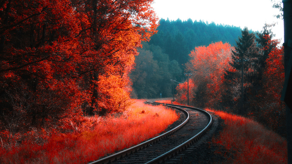 Railway Autumn Forest Wallpaper