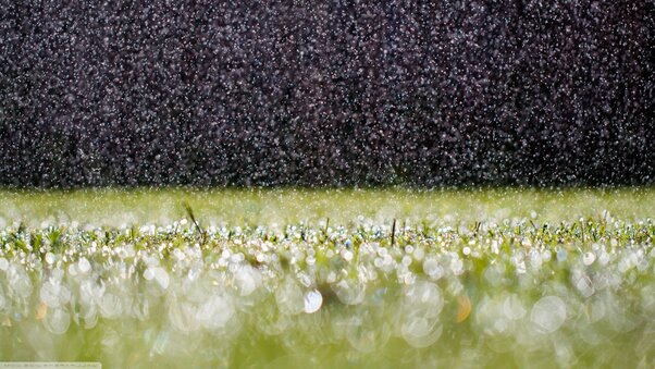 RainDrops On Grass Wallpaper