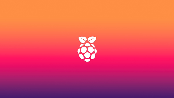 Raspberry Pi Logo Minimal 5k Wallpaper