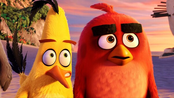Red And Chuck Angry Birds Wallpaper
