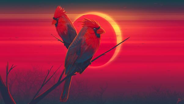 Red Birds Eclipse 4k Wallpaper