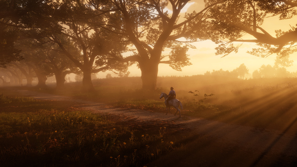 Red Dead Redemption 2 The Path 5k Wallpaper