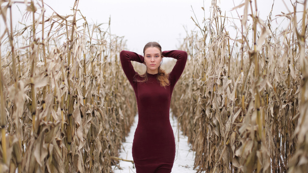 Red Dress Wheat Field Wallpaper