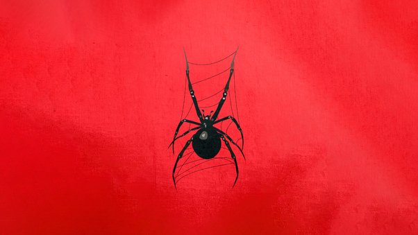 Red Spider 5k Wallpaper