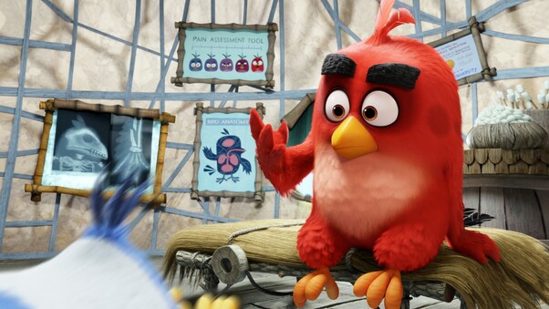 Red The Angry Birds Wallpaper