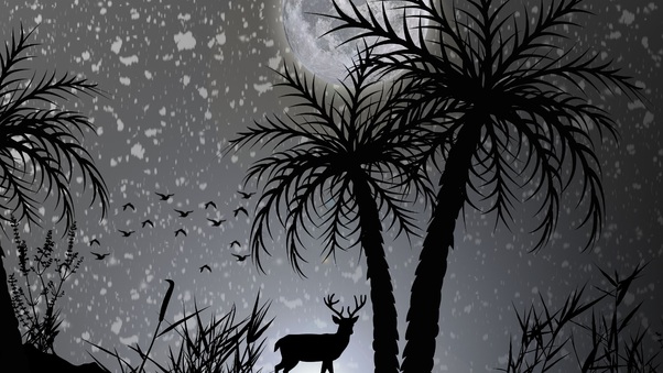Reindeer Dark Night Moon Minimalist Wallpaper