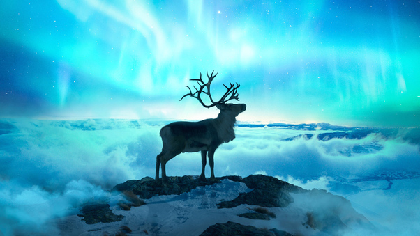 Reindeer Fantasy Art Wallpaper