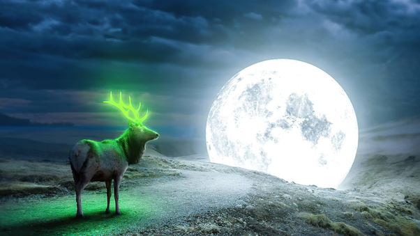 Reindeer Magical Moon Wallpaper