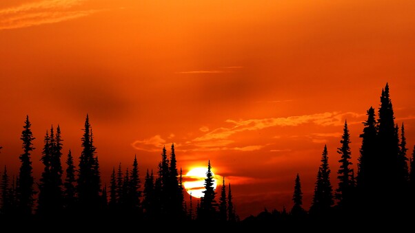 Relaxing Orange Sunset Evening 4k Wallpaper