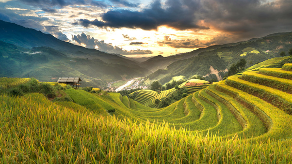 Rice Terraces At Sunset (1280x720) Resolution Wallpaper