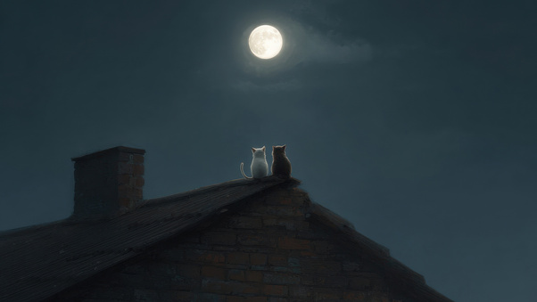 Rooftop Date Night (1280x720) Resolution Wallpaper