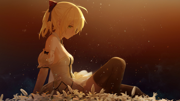 Saber Lily Fate Grand Order Wallpaper
