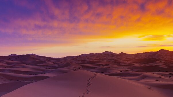 Sahara Desert Sand Dunes Wallpaper
