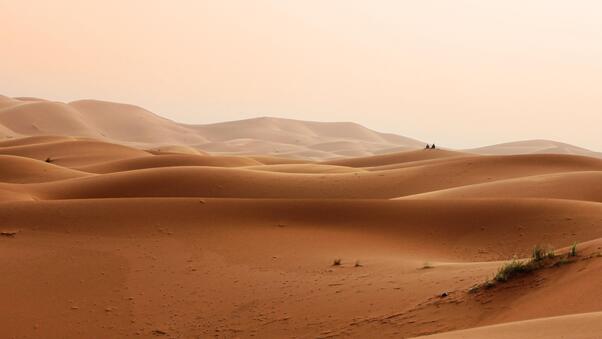 Sand Dunes Of Morocco Wallpaper