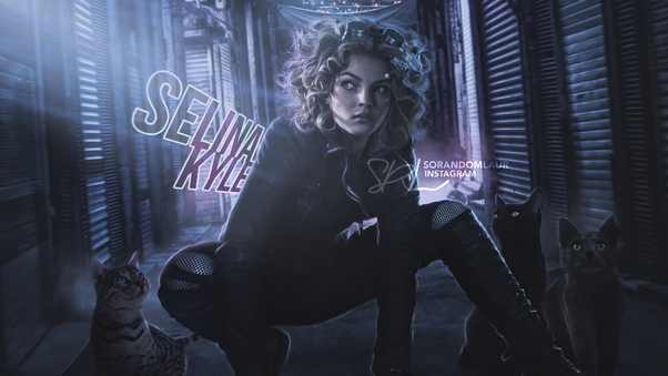 Selina Kyle As Catwoman In Gotham Fanart 4k Wallpaper