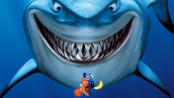 Shark Finding Nemo Wallpaper