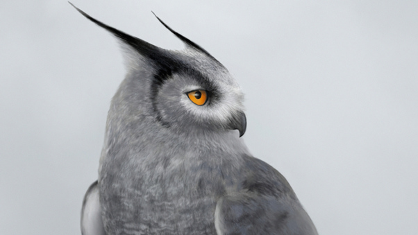 Silver Horned Owl Wallpaper
