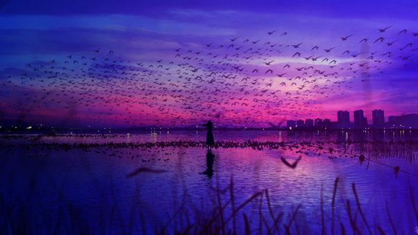 Sky Is The Stage And Birds Sing Wallpaper