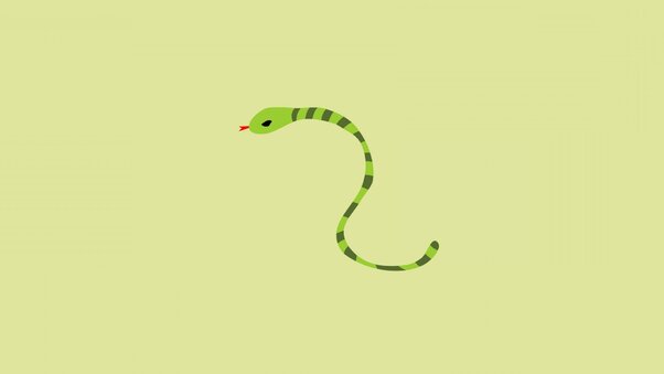 Snake Minimalism Wallpaper