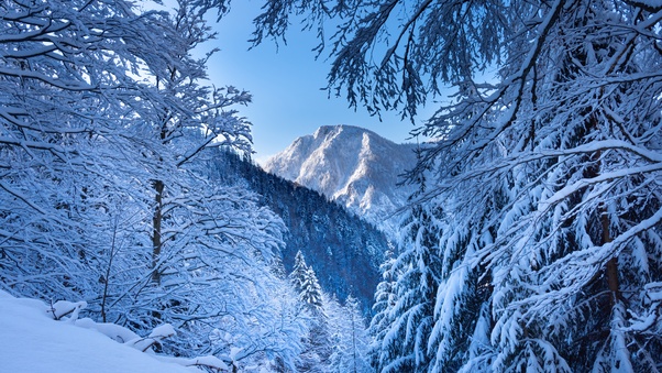 Snow Alps Austria 5k Wallpaper