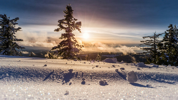 Snowy Forest When Winter Glitters Like Diamonds (1920x1200) Resolution Wallpaper