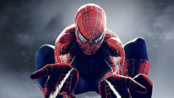 Spider Man Spiderweb Wallpaper