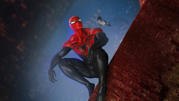 Spiderman And Pigeon Wallpaper