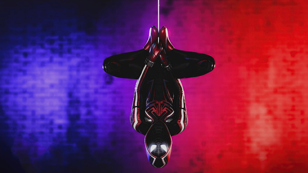 Spiderman Miles Morales 2021 Upside Down Wallpaper