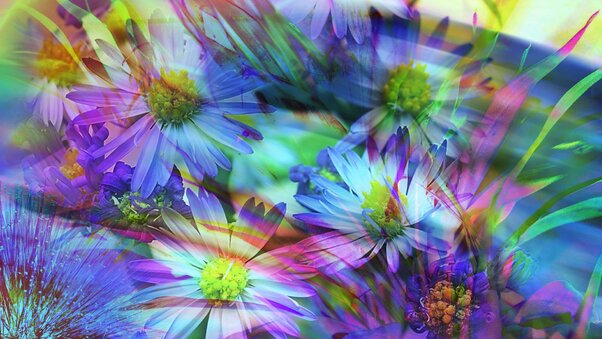 Spring Flowers Abstract Wallpaper