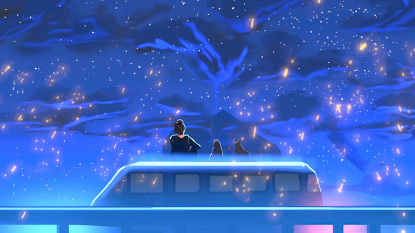 Starry Night Ride With Cats Wallpaper