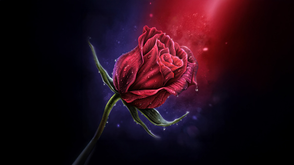 Stellar Garden Red Rose (3440x1440) Resolution Wallpaper