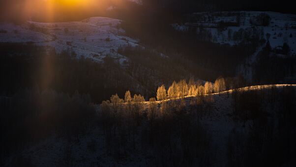 Sun Beams With Golden Light Over The Frozen Trees Wallpaper