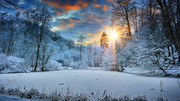 Sunbeams Landscape Snow In Winter Trees 4k Wallpaper