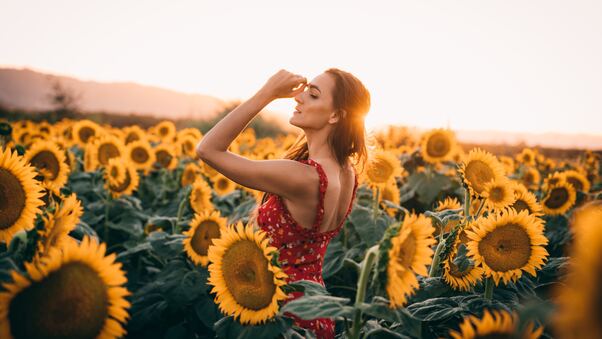 Sunflowers Field Dress Women 4k Wallpaper