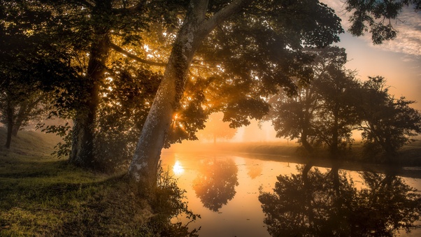 Sunrise View Between Trees At Morning Time Wallpaper